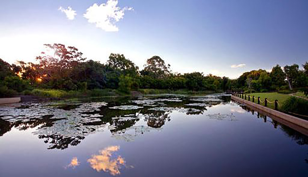Elysium Noosa Lake